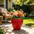 15" Strawberry Planter Pot, Cute Resin Fruit Flower Pot, Decorative Garden Planter for Patio, Porch, Yard, Lawn, Entryway, Tabletop & Home Decor by Unknown