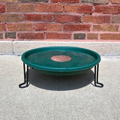 Ground Level Bird Bath - Floor Standing Bird Bath for Patio, Garden, or Deck - Black Steel Wire with Green Dish - Made in USA - Erva BA5SL - Image 2