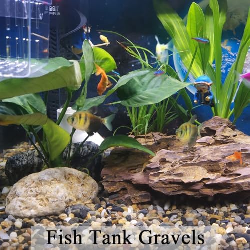 FANTIAN 20 lbs Natural Fish Tank Gravel,1/4 Inch Pea Gravel. Mixed Color River Rocks for Aquarium, Succulent, Vase, Cactus Bonsai, Plant Soil Cover and Outdoor Landscaping Rocks - Image 4