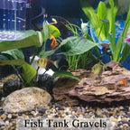 FANTIAN 20 lbs Natural Fish Tank Gravel,1/4 Inch Pea Gravel. Mixed Color River Rocks for Aquarium, Succulent, Vase, Cactus Bonsai, Plant Soil Cover and Outdoor Landscaping Rocks - Image 4