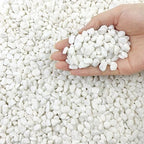 FANTIAN 10 lb White Pea Gravel for Landscaping, 3/8 Inch Pebble for Plant by FANTIAN-GardeningMakesLifeBetter