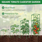 3 Pack Square Tomato Cage Heavy Duty Rust-Resistant Metal Tomato Trellis - Image 3