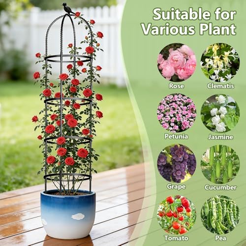 Obelisk Trellis for Garden Plants Climbing: 6ft Rustproof Metal Pipe with Plastic Coated - Potted Plant Climber Support for Outdoor Indoor Grape Vines Vegetable Fruits Flowers (2PC) - Image 5