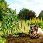Garden Trellis for Cucumbers, 50” x 16“ Adjustable A-Frame Plant Support for Climbing Plants Outdoor, Vegetable, Flowers, 2 Pack Heavy Duty 1cm Metal Vegetable Trellis for Backyard, Raised Bed, Patio - Image 2