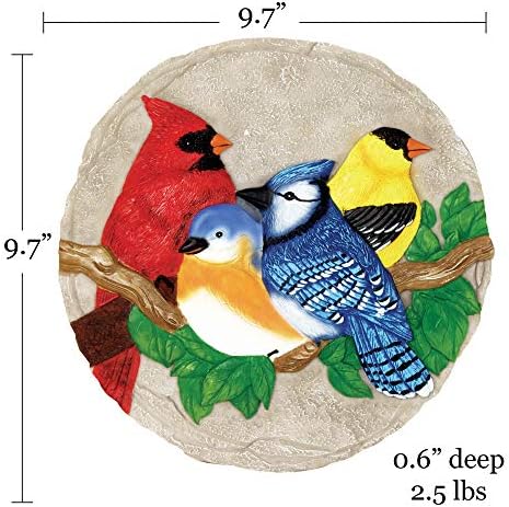 Spoontiques - Garden Décor - Bright Birds Stepping Stone - Decorative Stone for Garden - Image 6