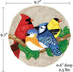 Spoontiques - Garden Décor - Bright Birds Stepping Stone - Decorative Stone for Garden - Image 6