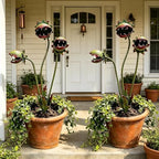 Metal Carnivorous Plant Garden Stakes,25 Inch Venus Flytrap Yard Art Sculpture,2 Pack Weatherproof Decor for Lawn Patio Pathway Planter Flower Bed,Whimsical Garden Ornament Gift(2PCS) by Unknown