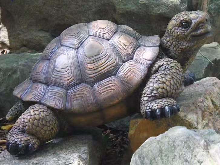 Garden Turtle Statue Decoration, Large Realistic Tortoise Figurine, Outdoor Lawn Ornament Garden Outdoor Courtyard, Lawn Landscape, Swimming Pool Decoration, Festival and Birthday Gifts - Image 5