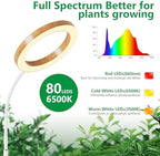 6.3in Grow Light for Indoor Plants, 15W Full Spectrum Halo Plant Lights - Image 6