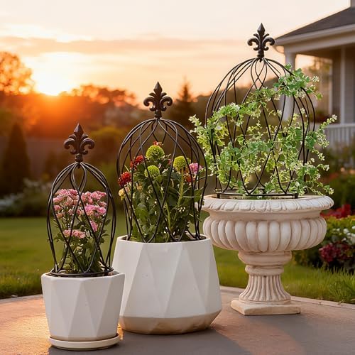 3PCS Metal Trellis Set for Climbing Plants - Indoor & Outdoor Decor - Image 6