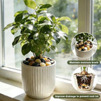 Anothera 18-lb Bulk Bag Pebbles for Plants 1-1.5 ” Aquarium Gravel River Rocks Garden Outdoor Decorative Stones - Image 4