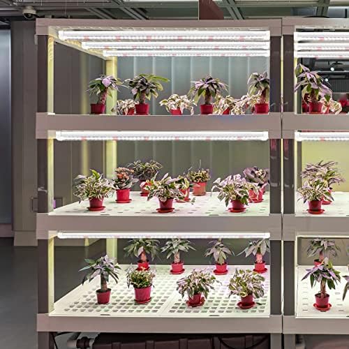 GYTF T5 Grow Lights, 408 LED-Bulb White Full Spectrum High PPFD Plant Light Strips for Indoor Plants Growing, Greenhouse, Seeds Starting, Succulents, Expandable Design (8x10W, 400W Equivalent) - Image 2