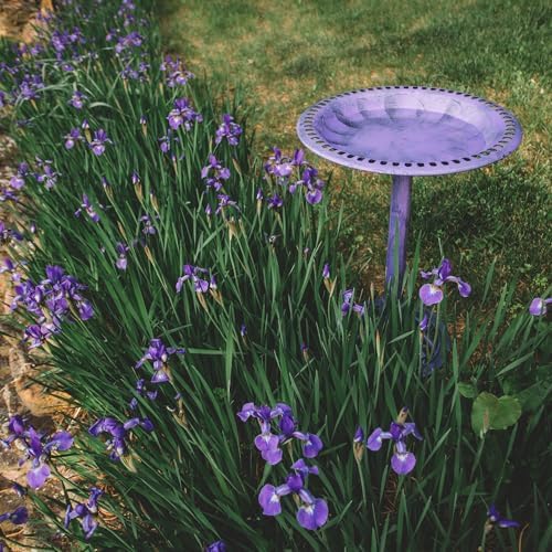 Backyard Expressions Outdoor Garden Bird Bath - Lilac Purple - Weather Resistant Polyresin - 27 Inch - Image 7