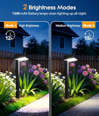 ELECLINK Solar Pathway Lights Outdoor, 8 Pack Garden Lights Solar Powered Path Lights with Focused Beam Lens, 2 Light Modes Waterproof Outdoor Solar Light for Yard Driveway Walkway Landscape - Image 5
