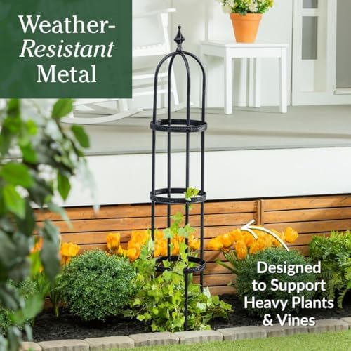 Evergreen 5 ft Garden Trellis for Climbing Plants Vines, Jasmine & Flowers, Rustproof Metal Obelisk Trellises, Outdoor & Indoor Plant Support for Potted Planters (Black) - Image 2