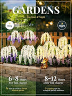 GIGALUMI 3 Pack Solar Wisteria Flowers Outdoor, 2 Modes, White - Image 4