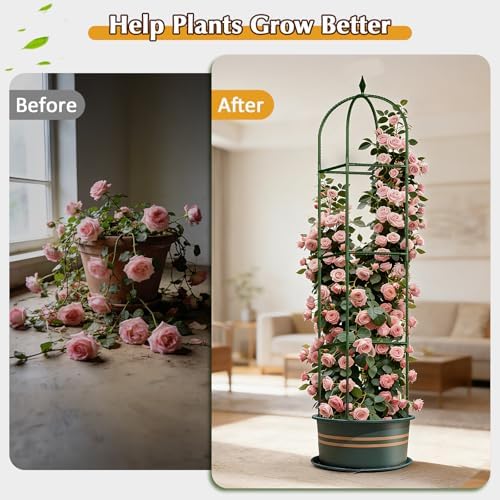 Garden Trellis for Climbing Plants, Tomato Cage, Rose, Flowers, Grape, Pea, Cucumber Trellis, Rustproof Plastic Coated Metal Plant Support for Potted Plants Indoor Outdoor - 2PC Plant Trellis - Image 5