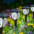 6 Pack Solar Lights (Solar Lights Outdoor Garden Cold White) by Unknown