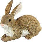 Design Toscano QM200861 Bashful The Bunny Lying Down Rabbit Outdoor Garden by DesignToscano