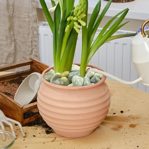 20LB Jade Pebbles for Landscaping, 0.7-1.2 Inch Natural Decorative Stones, Polished River Rocks for Landscaping,Plants, Vase, Flowerpot, Indoor Plants and Outdoor Garden Decoration - Image 6
