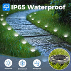 Peasur Mini Solar Ground Lights, 12 Pack Flat Solar Disc Lights Outdoor Waterproof, 2.3 Inch Small Solar Garden Lights Landscape Lighting for Outside Pathway Garden Yard Lawn Walkway,Cool White - Image 3