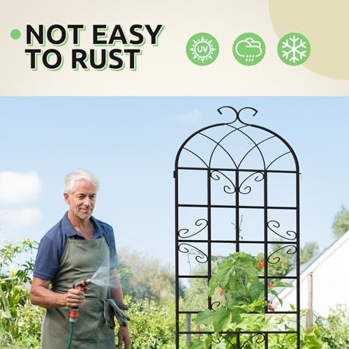 4-Pack 87" x 20" Butterfly Arch Black Metal Garden Trellises - Image 5