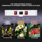 KingLED KP1000 Grow Light for Indoor Plants, Full Spectrum Plant Grow Light - Image 3