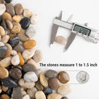 Anothera 18-lb Bulk Bag Pebbles for Plants 1-1.5 ” Aquarium Gravel River Rocks Garden Outdoor Decorative Stones - Image 3