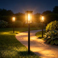 Solar Lights Outdoor Garden Lights Solar Pathway Lights, Waterproof 3000K by BackyardFox