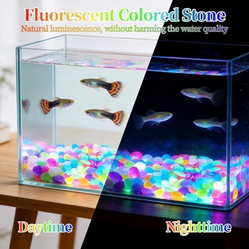 Rainbow Glow in The Dark Pebbles, Luminous Resin Stones for Outdoor Garden Walkway, Aquarium Decor, Fish Tank, Landscape Lighting, Waterproof & Non-Toxic – Long Lasting Glow Up to 5 Hours (1000pcs) - Image 4
