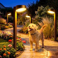 VOLISUN Solar Pathway Lights Outdoor, 12 Pack Solar Powered Garden Lights Waterproof, Decor Landscape Lighting for Yard, Lawn, Walkway, Driveway, Brown by VOLISUN