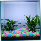 OSALADI Resin Pebbles Outdoor Decorative Stones Glow the Dark for Garden and Yard 500pcs Recharge in Sunlight Glowing Landscaping Stones and Random Color and Pet Friendly for Fish Tanks - Image 6