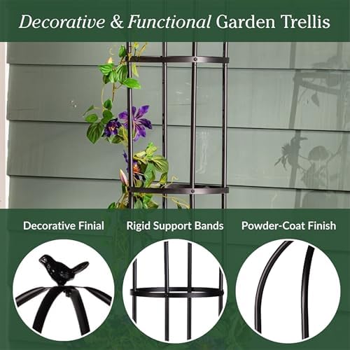 Evergreen Metal Garden Obelisk Trellis for Climbing Plants Outdoor, Indoor Plant Trellis for Potted Plants, Floral Pattern Arch Trellis (Black, 7 ft. Round, Set of 2) - Image 4