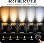 LOHAS Brass Low Voltage Landscape Well Lights, Outdoor In Ground Lights - Image 2