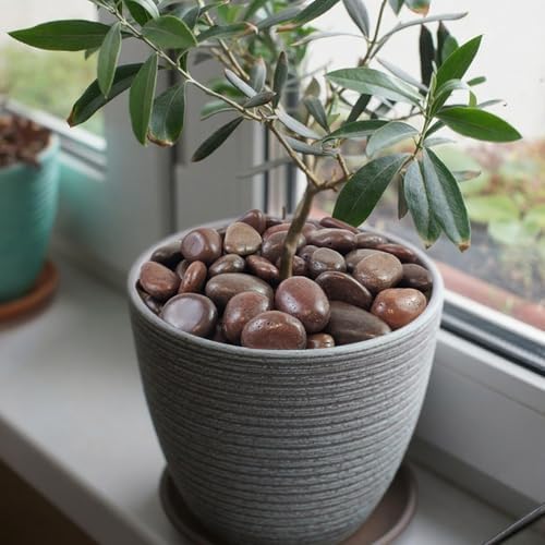 FANTIAN 40 lbs Red River Rocks for Landscaping, 1-2 Inch Polished Pebbles for Indoor Plants, Decorative Rocks Stones for Vases, Aquariums, Fountains, Pathways, Backyard and Garden - Image 3