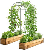 Garden Arch Trellis with Netting, Metal Garden Trellis for Climbing Plants by YAHKBTENBrand