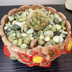 10LB Jade Pebbles for Landscaping, 0.7-1.2 Inch Natural Decorative Stones, Polished River Rocks for Succulent,Planters, Landscaping, Vase, Flowerpot, Indoor Plants and Outdoor Garden Decoration - Image 4
