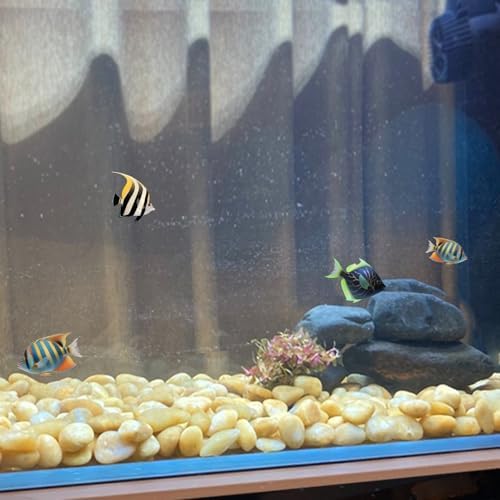 FANTIAN 40 lbs Yellow River Rocks for Landscaping, 1-2 Inch Polished Pebbles for Indoor Plants, Decorative Rocks Stones for Fish Tank, Vases, Aquariums, Fountains, Pathways, Backyard and Garden - Image 6