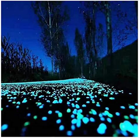 Glowing Stone White Pebbles in The Dark, Stone Used for Indoor and Outdoor Decoration of Garden Aquarium Fish Tank Sidewalk Flower Pots (Size : 300PCS) by Unknown
