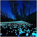 Glowing Stone White Pebbles in The Dark, Stone Used for Indoor and Outdoor Decoration of Garden Aquarium Fish Tank Sidewalk Flower Pots (Size : 500PCS) by Unknown