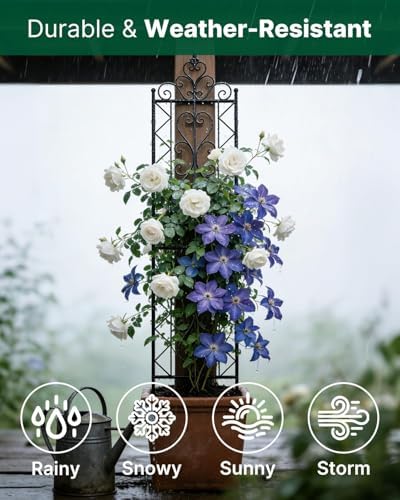 ARIFARO 2 Pack 78"H x 20"W Metal Garden Trellis for Climbing Plants Outdoor - Image 6