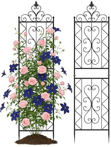 ARIFARO 2 Pack 78"H x 20"W Metal Garden Trellis for Climbing Plants Outdoor by ARIFARO