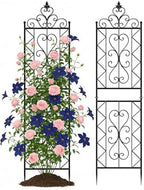ARIFARO 2 Pack 78"H x 20"W Metal Garden Trellis for Climbing Plants Outdoor by ARIFARO