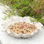 MUMTOP Bird Bath for Outdoors, Resin Garden Flower Birdbath Bowl Yard Decor - Image 2