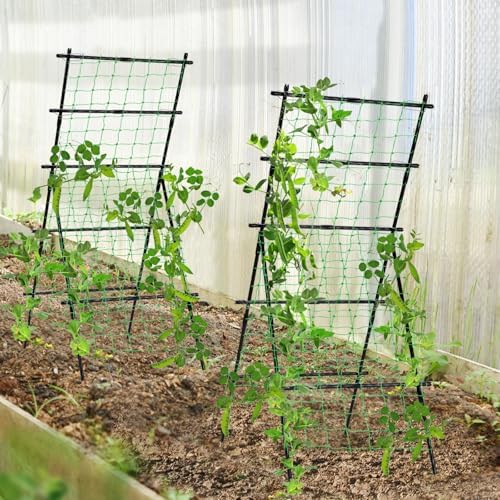Cucumber Trellis A Frame Garden Trellis 31 x 26 x 75 in - Image 7