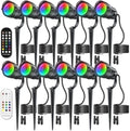 HIBOITEC RGBWW Low Voltage Landscape Lights 12-Pack, ETL Listed IP65 Outdoor LED Spotlights with Timer & Dual Remote, 12-24V Color Changing Uplighting for Yard Trees(Transformers NOT Included) by HIBOITEC