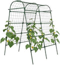 Garden Arch Trellis for Climbing Plants Outdoor, 7 Ft Tall Cucumber Trellis by Unknown