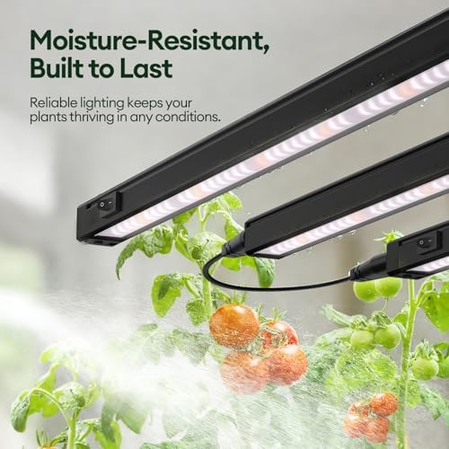 Maygrove Grow Lights for Indoor Plants, Tunable Spectrum 1FT LED Growing Lamp 28W (4 x 7W), T5 Grow Light Strip for Seed Starting, Vegetables, Linkable, Black, 4-Pack - Image 6