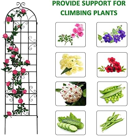 Garden Trellis for Climbing Plants Outdoor, 4-Pack 86" Metal Rustproof - Image 5