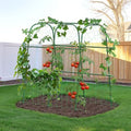 HIRALIY Cucumber Trellis for Climbing Plants, 4ft Tall, Green by HIRALIY